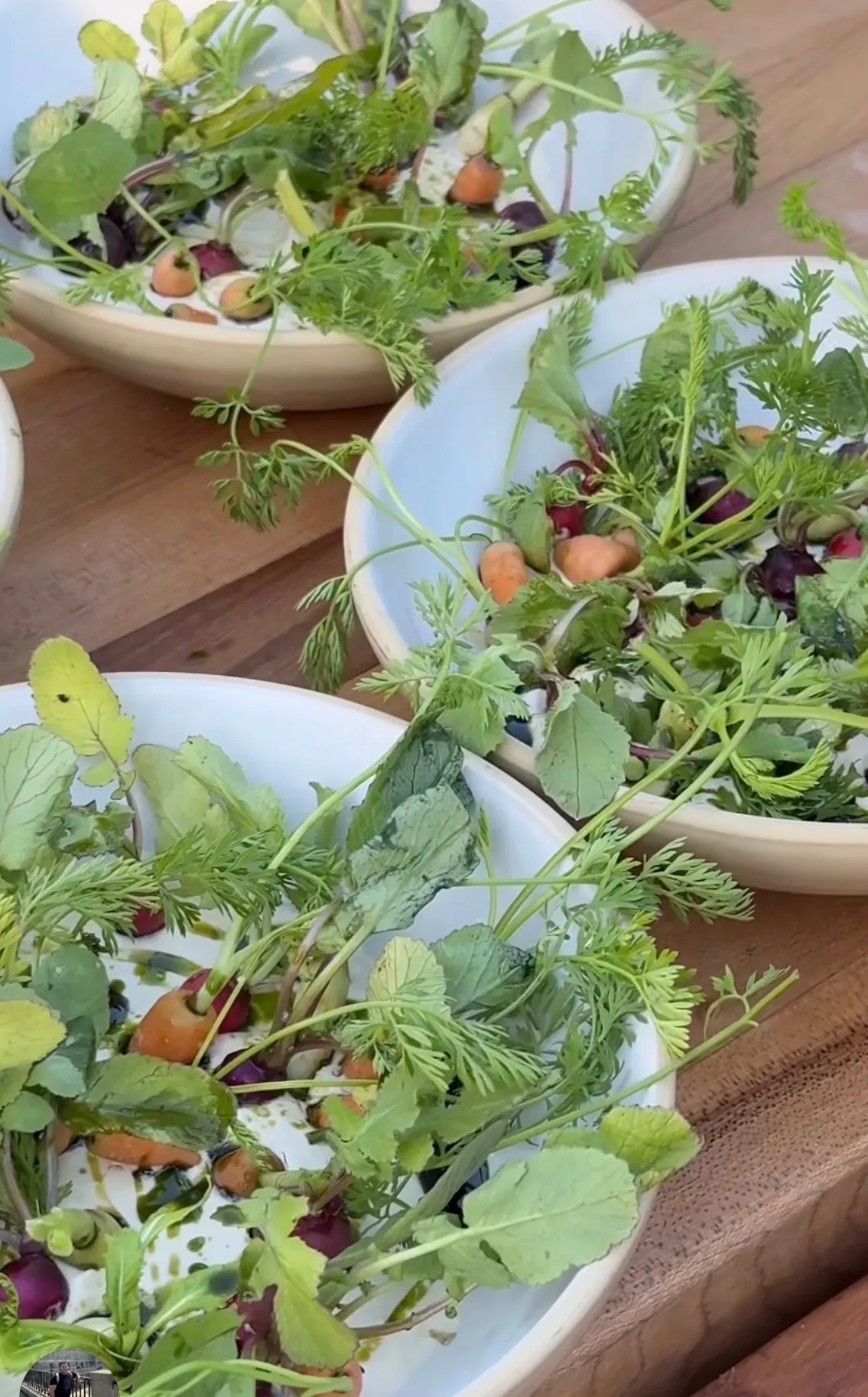 Garden salad bowls with carrot tops, herbs, baby radishes and beans — Montecito private chef garden table service